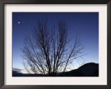 Moon and Venus Conjunction