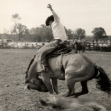 Man Riding Bucking Bronco