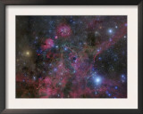 The Vela Supernova Remnant