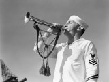 Naval Bugler