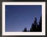 Moon  Venus and Jupiter Conjunction