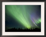 Aurora Near Drayton Valley  Alberta  Canada