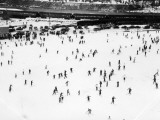 Elevated View of Ski Resort  Pattern Bear Mt  NY