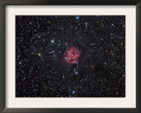 Cocoon Nebula