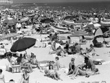 Crowds of People Relaxing on Beach