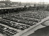 Rows of Cars in Parking Lot  Aerial View  Philadelphia