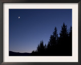Moon  Venus and Jupiter Conjunction