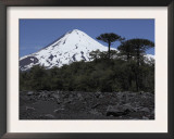 Llaima Volcano  Araucania Region  Chile