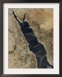 Dust Plumes over the Red Sea