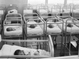 Newborn Baby Cribs
