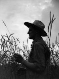 Silhouette of Farmer Wearing Straw Hat in Middle of Wheat Field
