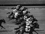 Jockeys Competing in Horse Race  Side View