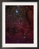Elephant's Trunk Nebula Inside IC 1396