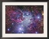 Fox Fur Nebula