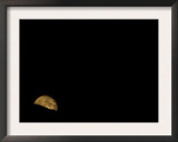 Moonrise