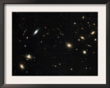 Coma Cluster of Galaxies
