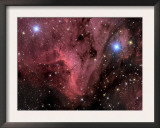 Pelican Nebula