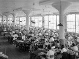 Women in Textile Factory at Sewing Machines