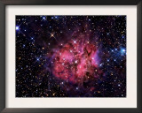 Cocoon Nebula