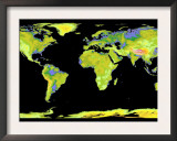 Digital Elevation Model of the Continents on Earth