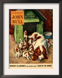 John Bull  Dogs Magazine  UK  1952