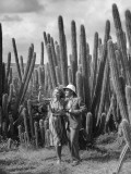 Couple Taking Pictures of Cactus