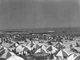 Crowdy Beach  Elevated View