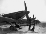 Spitfires at Duxford