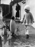 Penguin and Friend