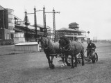 Newbury Race Course