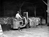 Man Driving Forklift