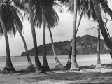 Nicaraguan Beach