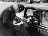 Checking Licences