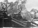 Central Park
