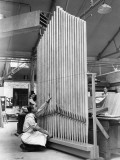 Organ Pipes