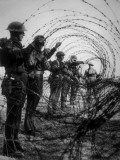 Barbed Wire