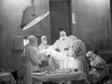 Student Nurses