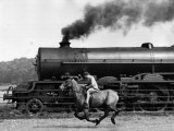 Steamy Steed