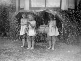 Summer Shower