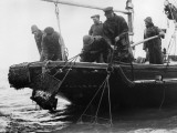 Oyster Dredgers