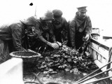 Oyster Fishing