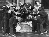 Foundling Boys