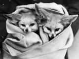 All Wrapped Up