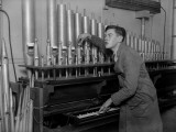 Organ Tuner