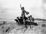 Greyhound Lady