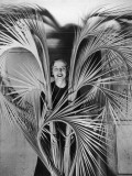 Palm Sunday