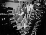 Organ Pipes