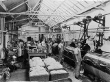 Laundry Workers