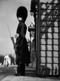 Palace Guard