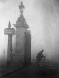 Pea Souper